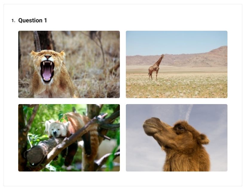 image picker field form in Atarim Dashboard
